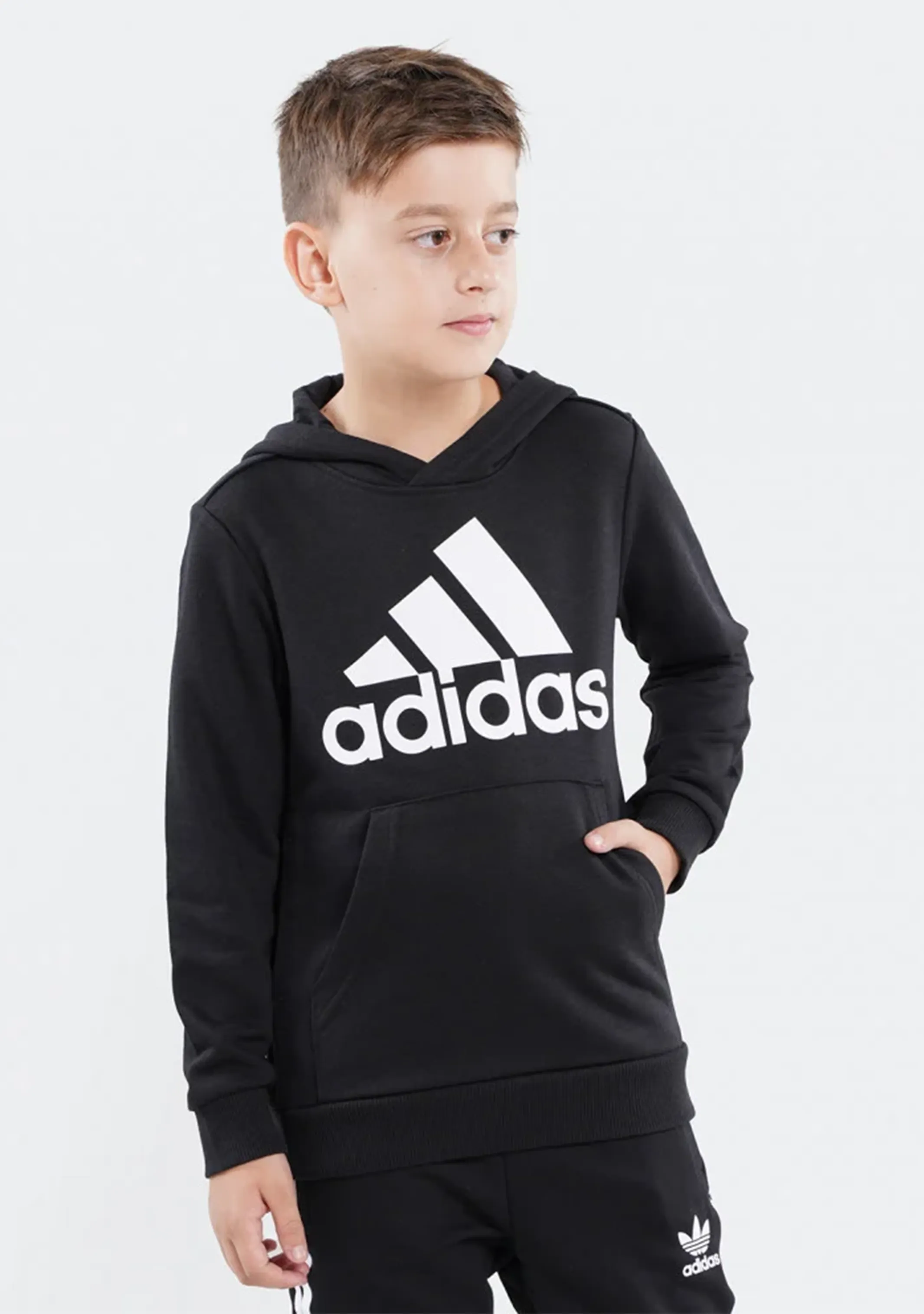 Adidas Junior Essentials Logo Hoodie <br> GN4027