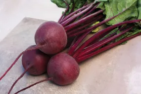 Beet - Kestrel Hybrid (Seeds)