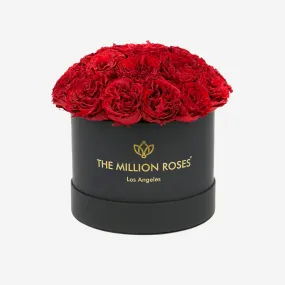 Classic Black Dome Box | Bright Red Carmen Roses