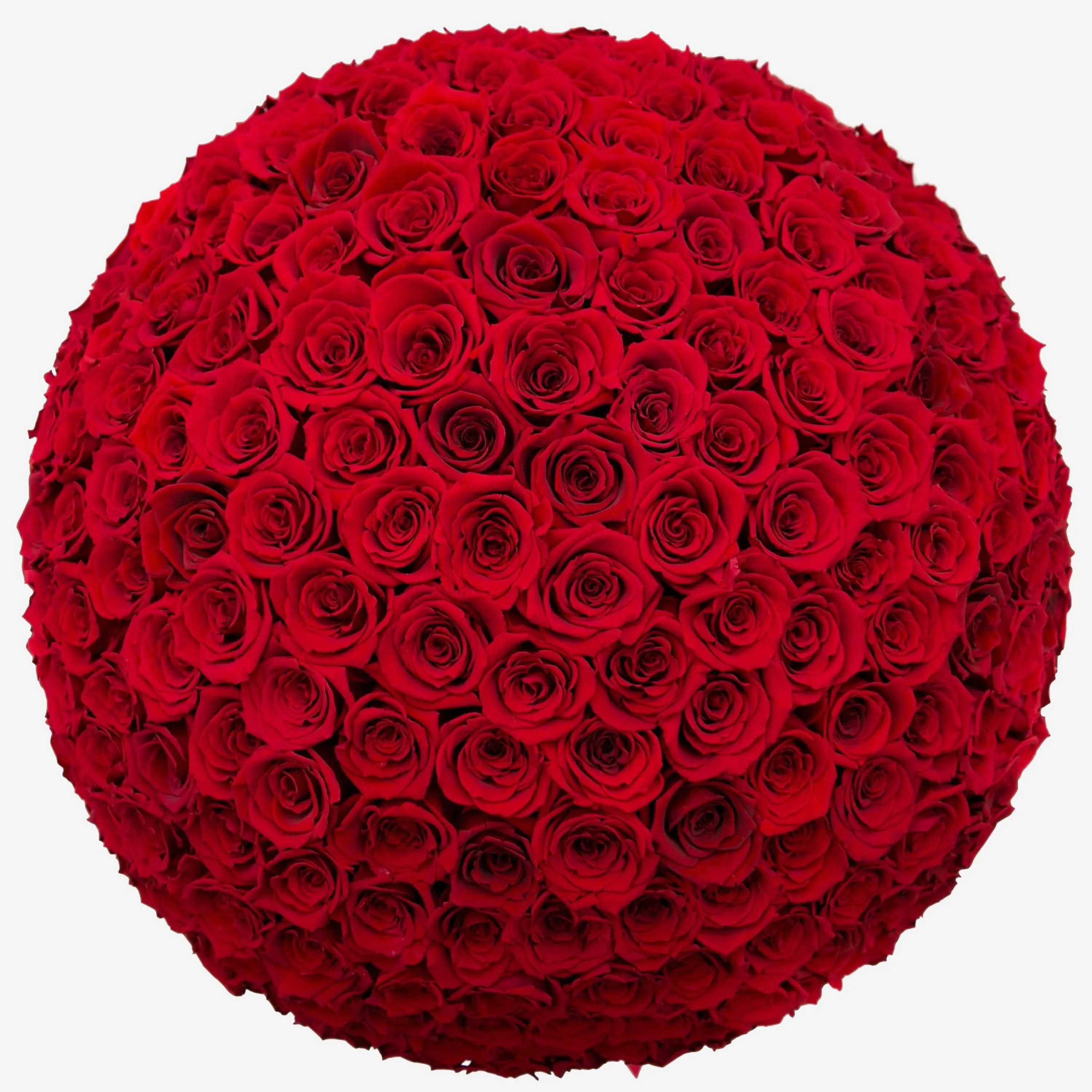 Deluxe White Dome Box | Bright Red Roses