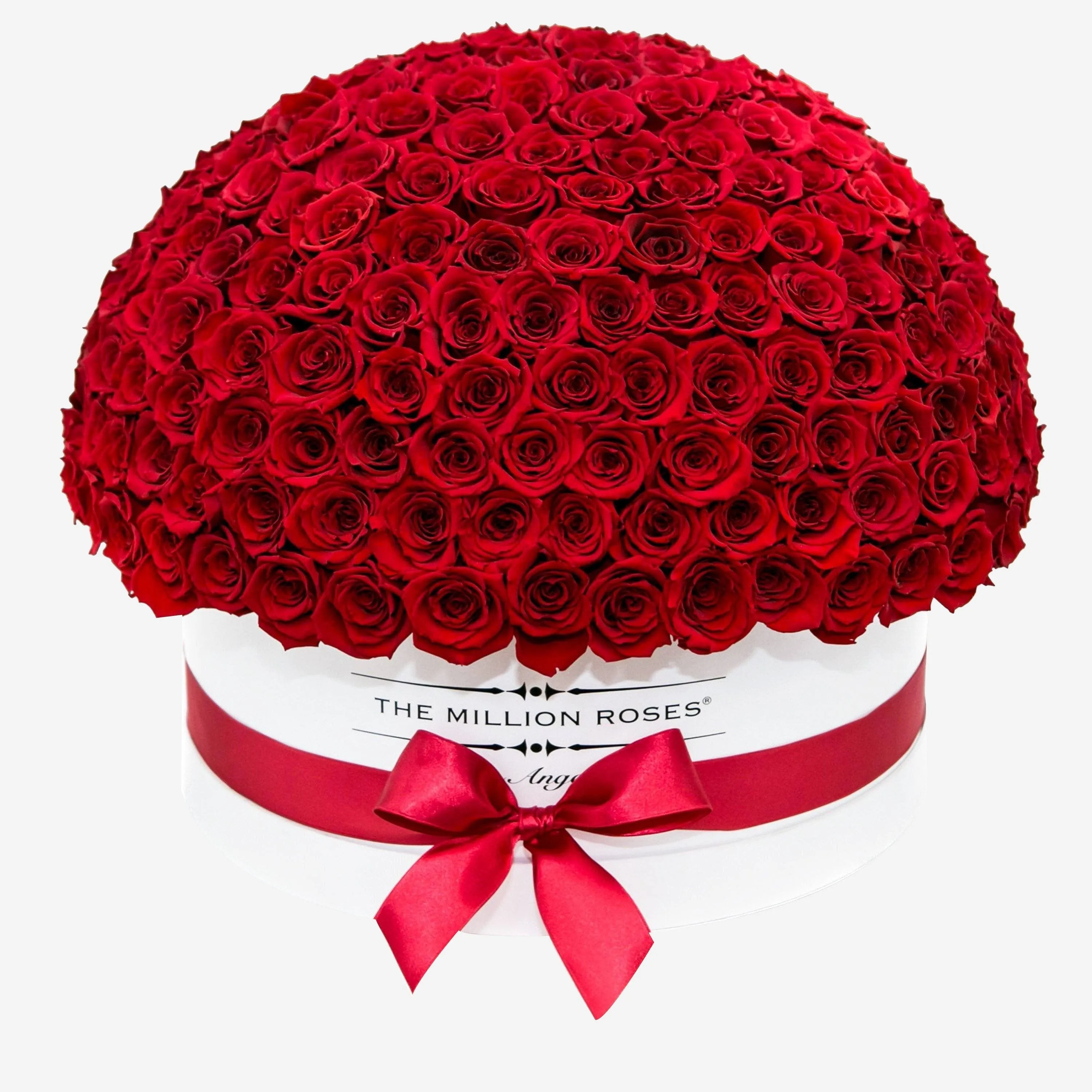 Deluxe White Dome Box | Bright Red Roses